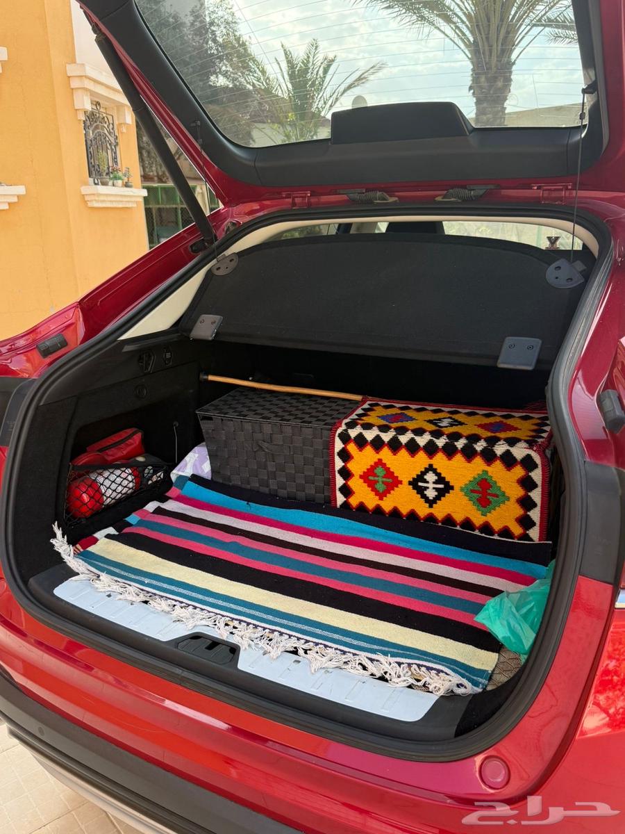 جلي توجلى 2022 فل الفل64552076691587113