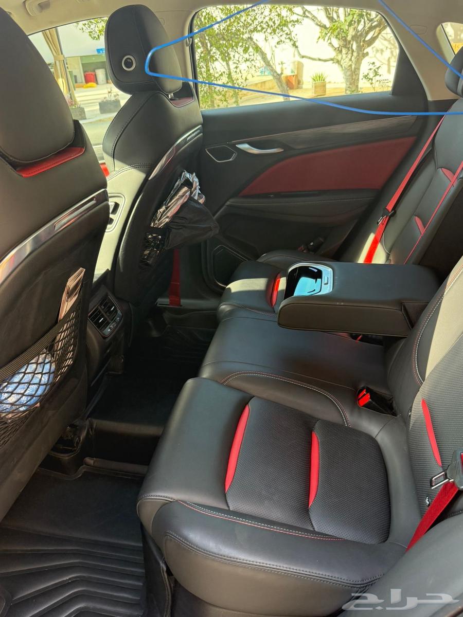 جلي توجلى 2022 فل الفل64552076691587114