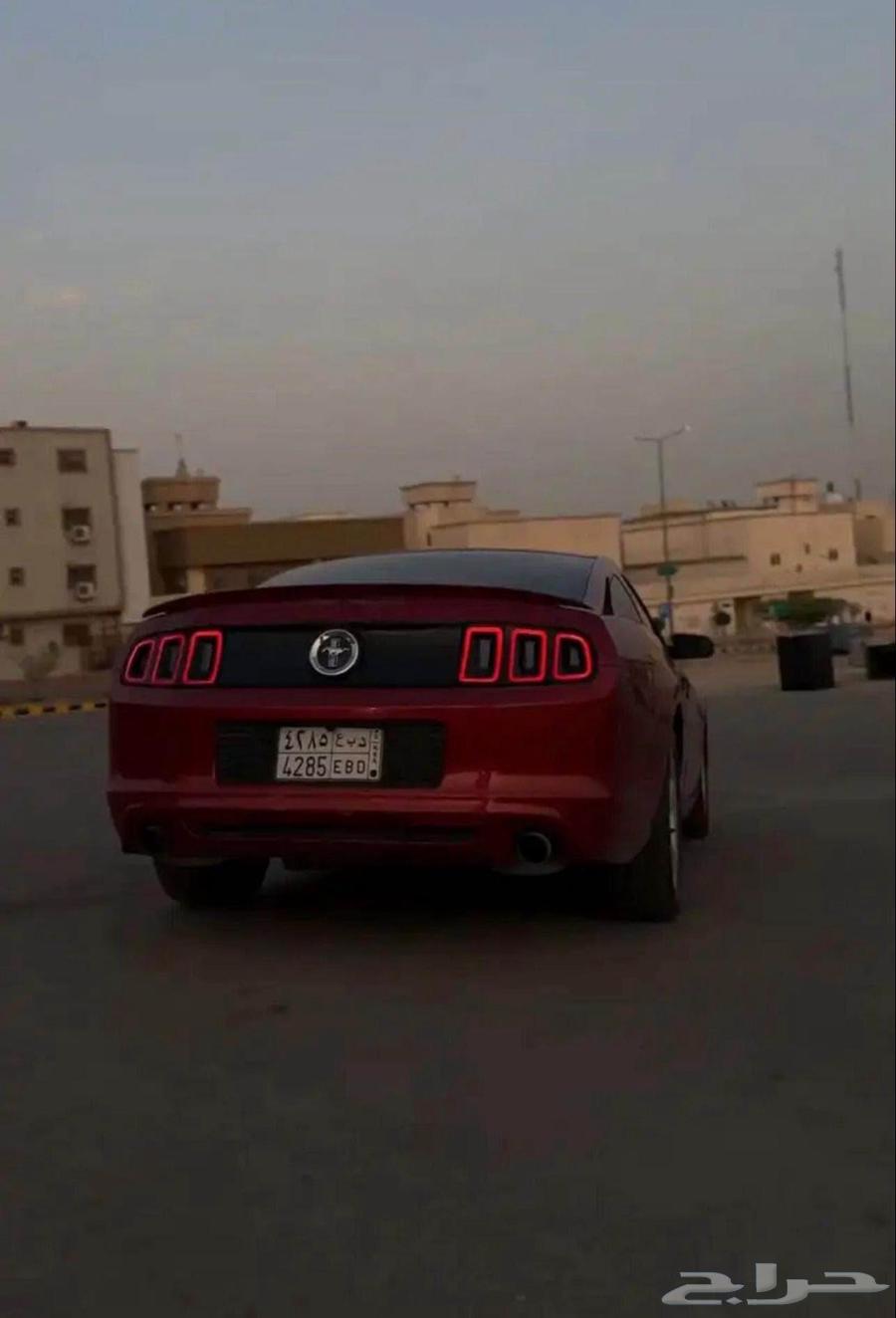 Mustang 201363618145241603114