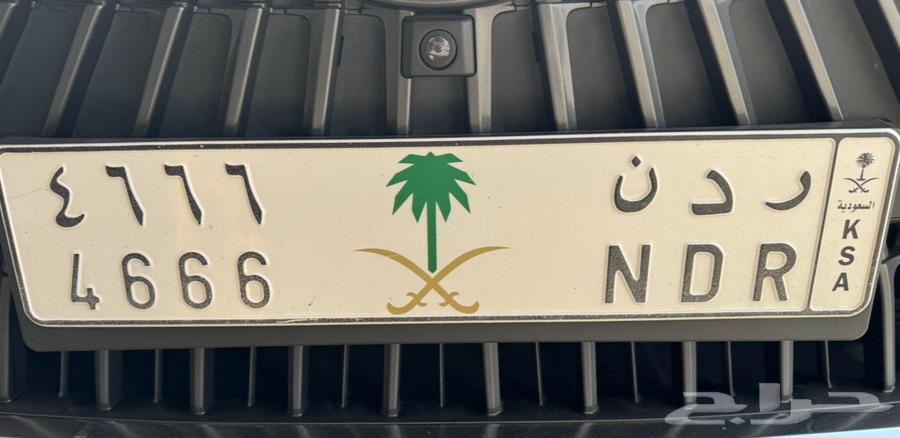 A distinctive RDN plate with a logo64540794120578110