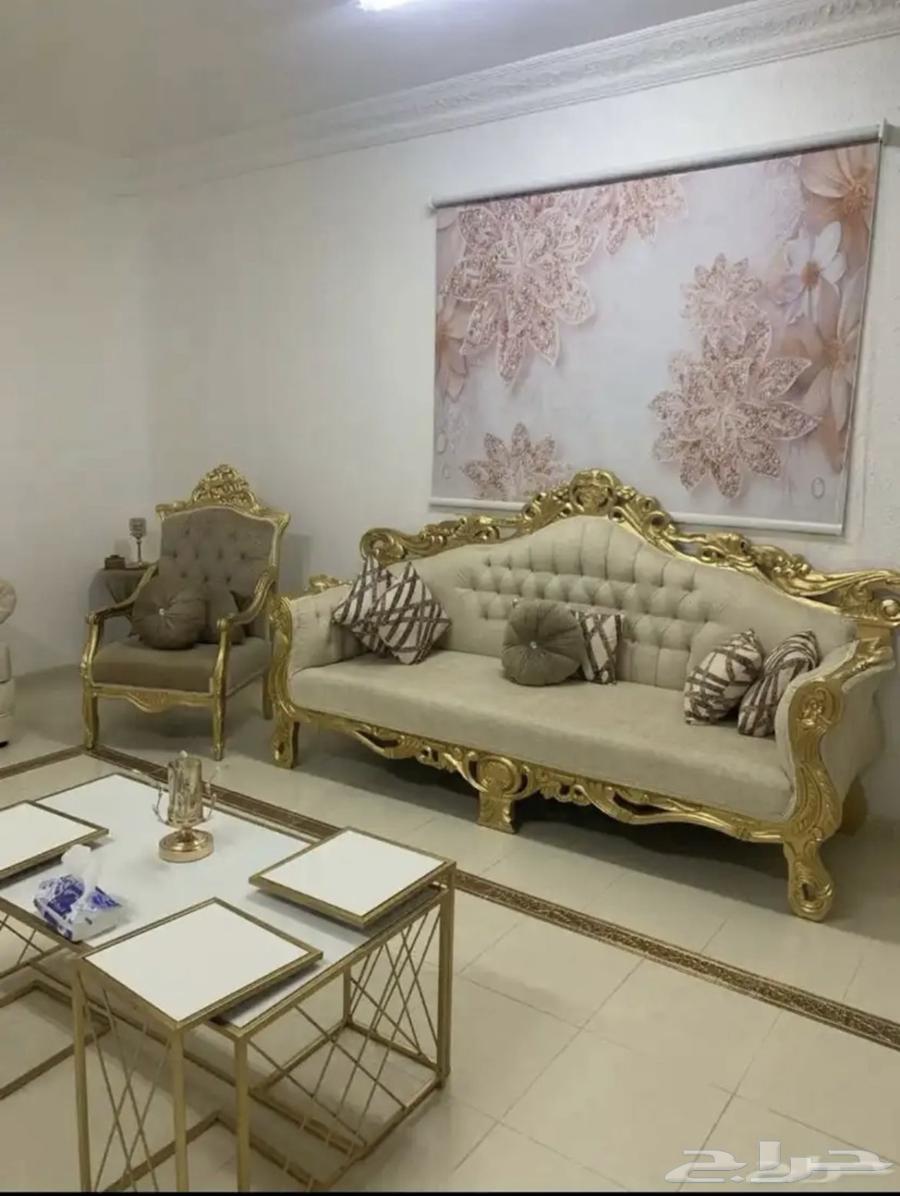 كناب في حاله ممتازه64395060835329111