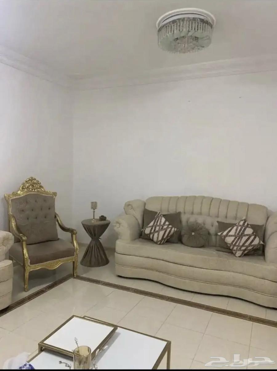 كناب في حاله ممتازه64395060835329112