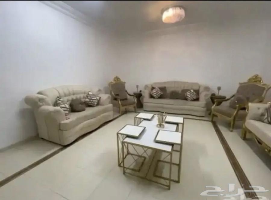 كناب في حاله ممتازه64395060835329110