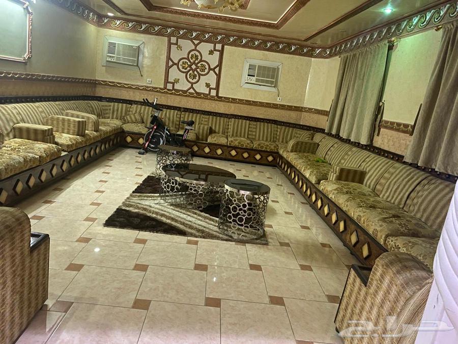 مجلس 7في5 نظيف وكنب ثقيل مع طاوله وسجاد وستارهه64400384322946110