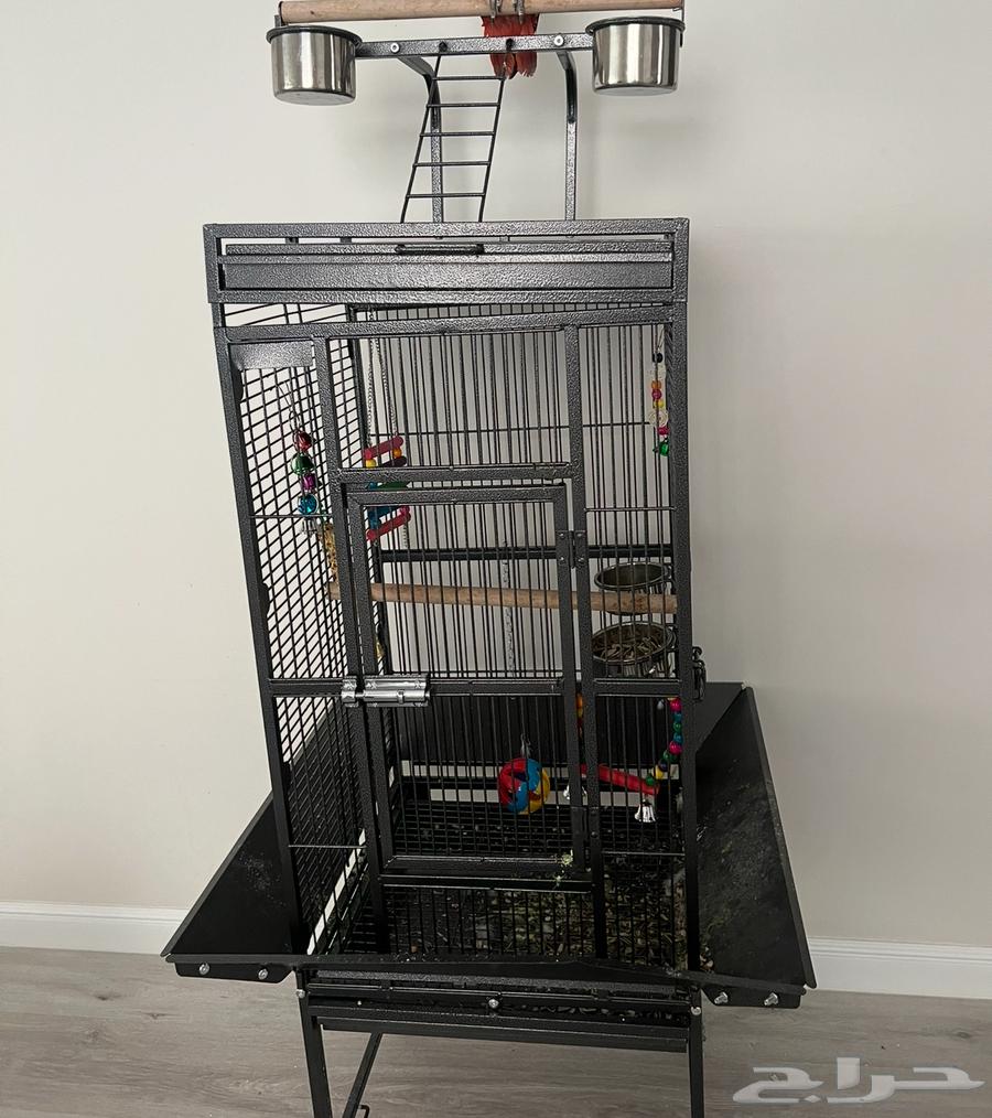 قفص ببغاء64392991645058110