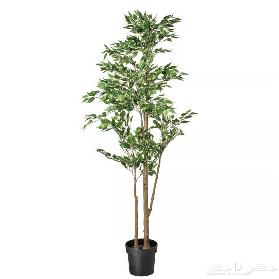 Artificial tree from IKEA - New64397228272387110