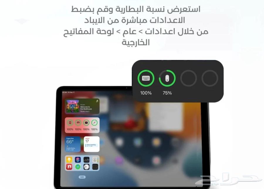 Magic Keyboard for iPad64394053030275114