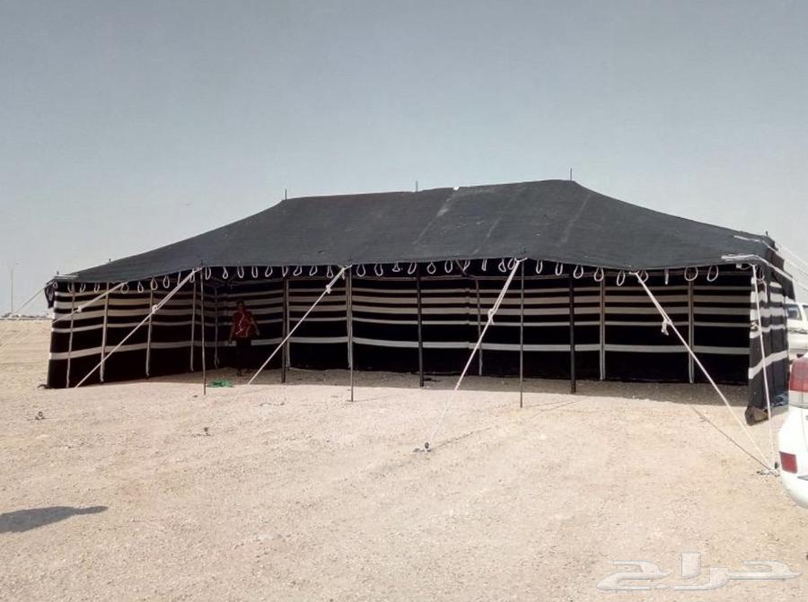 Poetry Tents Mobile63617813477889113