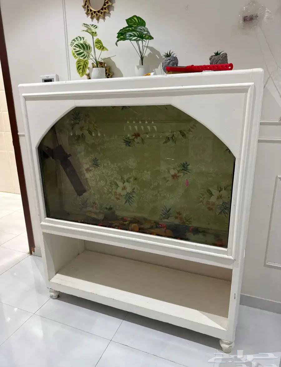 Large fish tank with filter64396547582466110