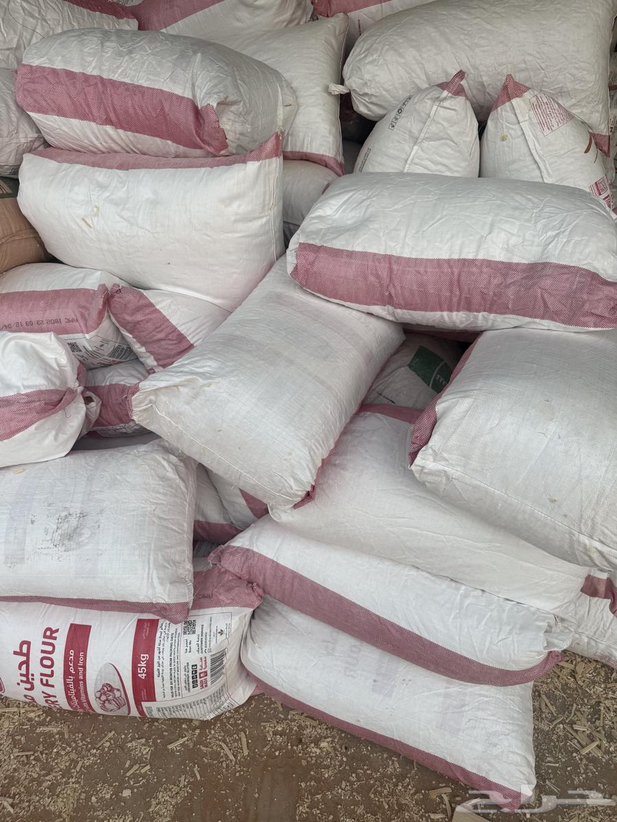 نشارة خشب64396686474115111