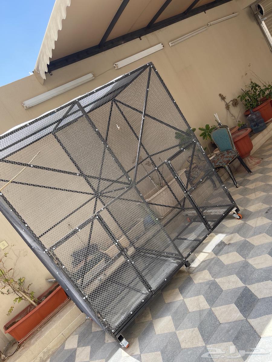 شبك طيور كبير وصغير64397116520707113