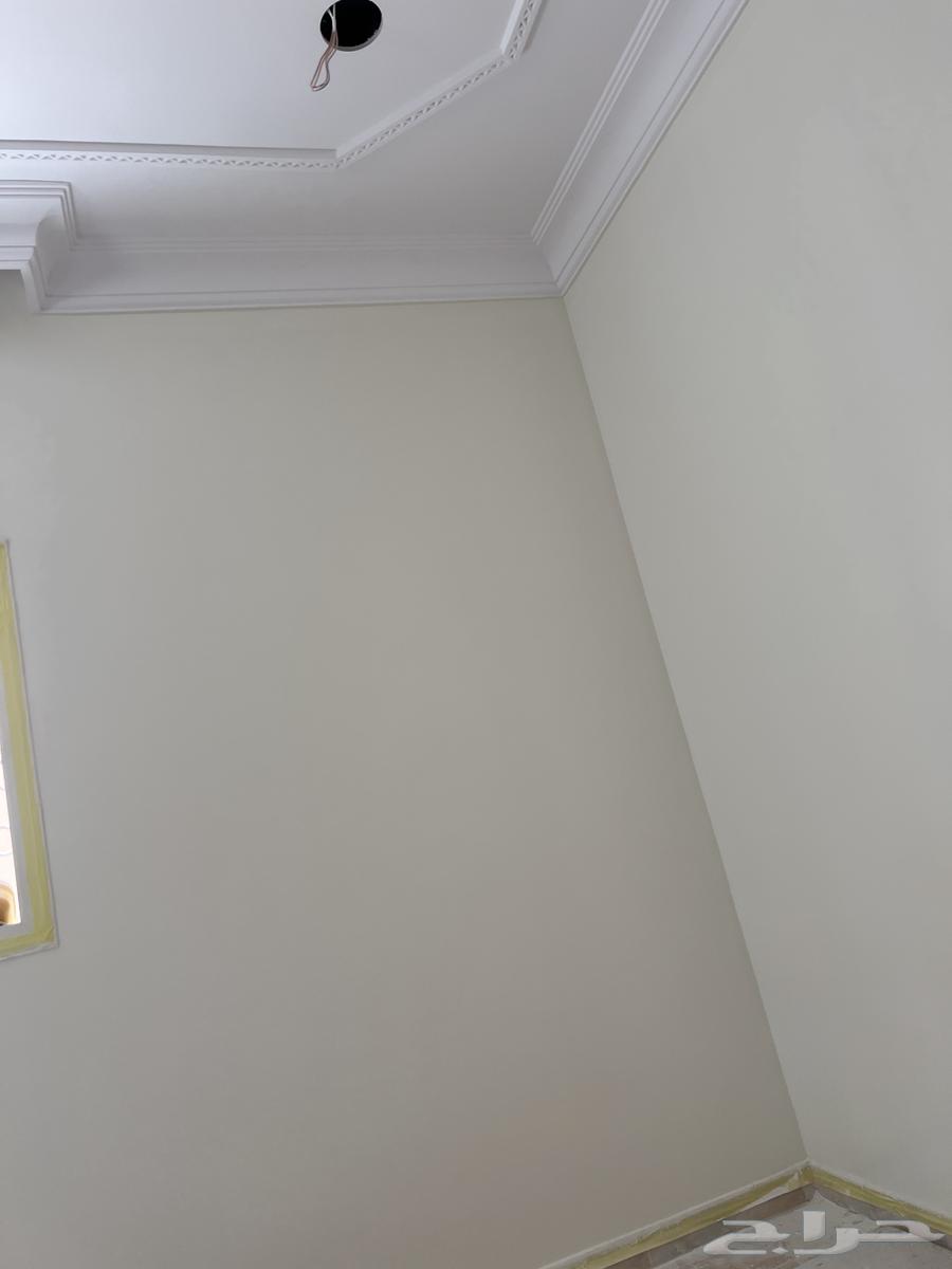 دهانات داخلي63618143414018112