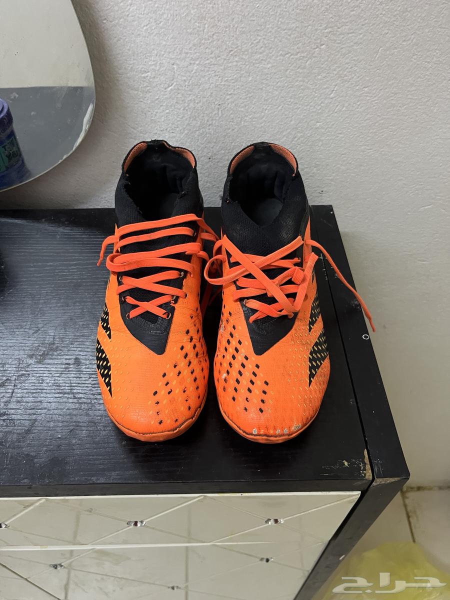 Kora Bot64396769463553113