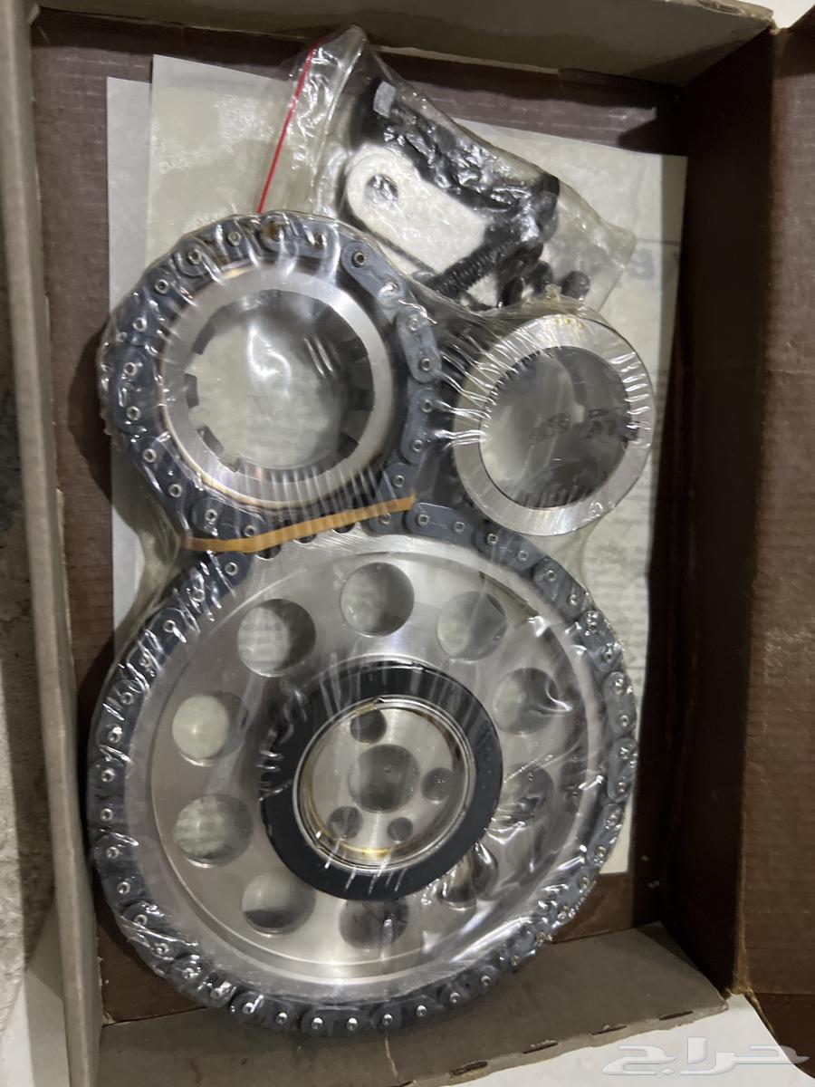 Double chain for shutter motors with gear and screws64539001785474114