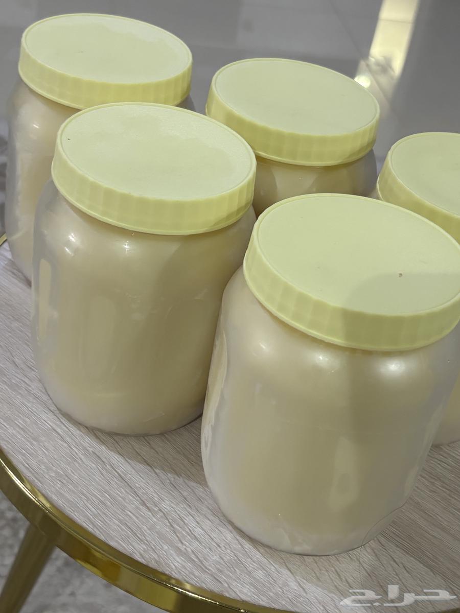 Sheep ghee on request64397172552705111