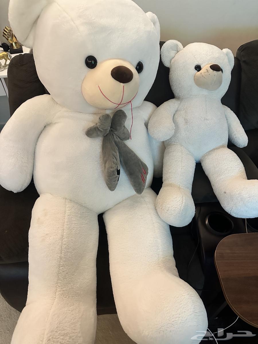 دمية دب للبيع64397838859905110