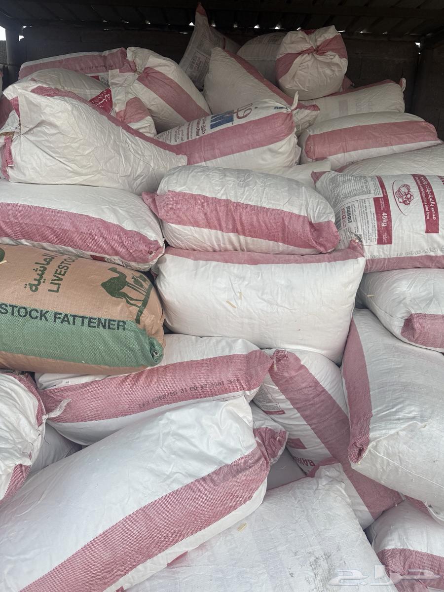 نشارة خشب64396686474115110