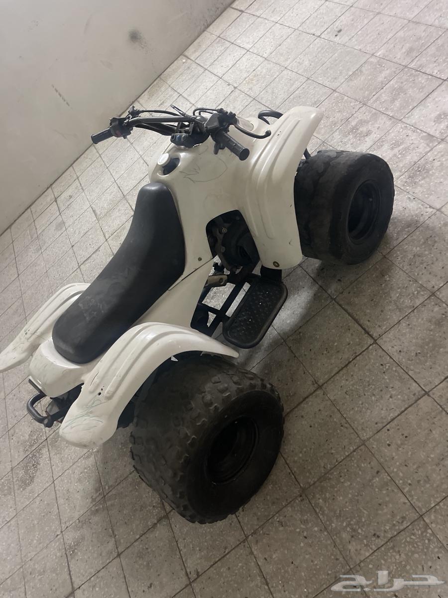 دباب للبيع64398827974529112