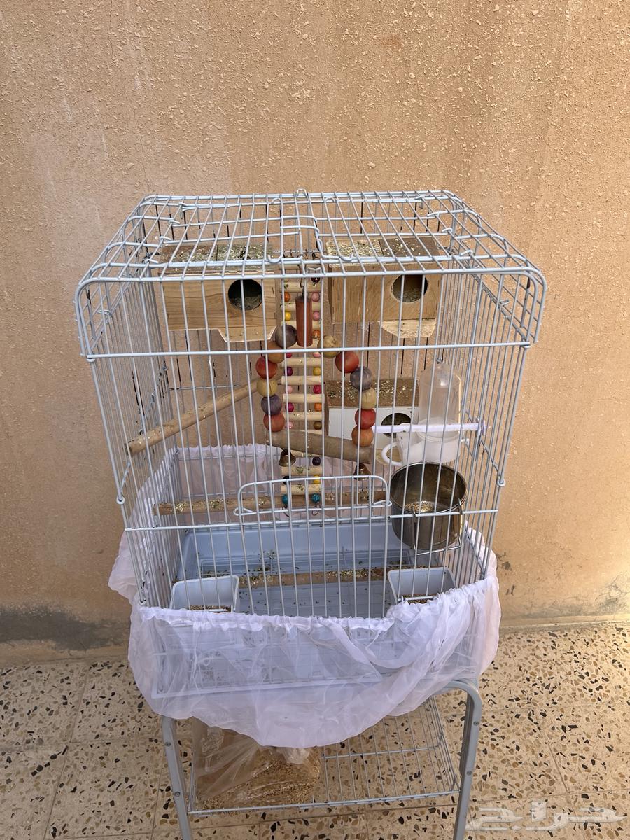 قفص كاسكو64396977286018111