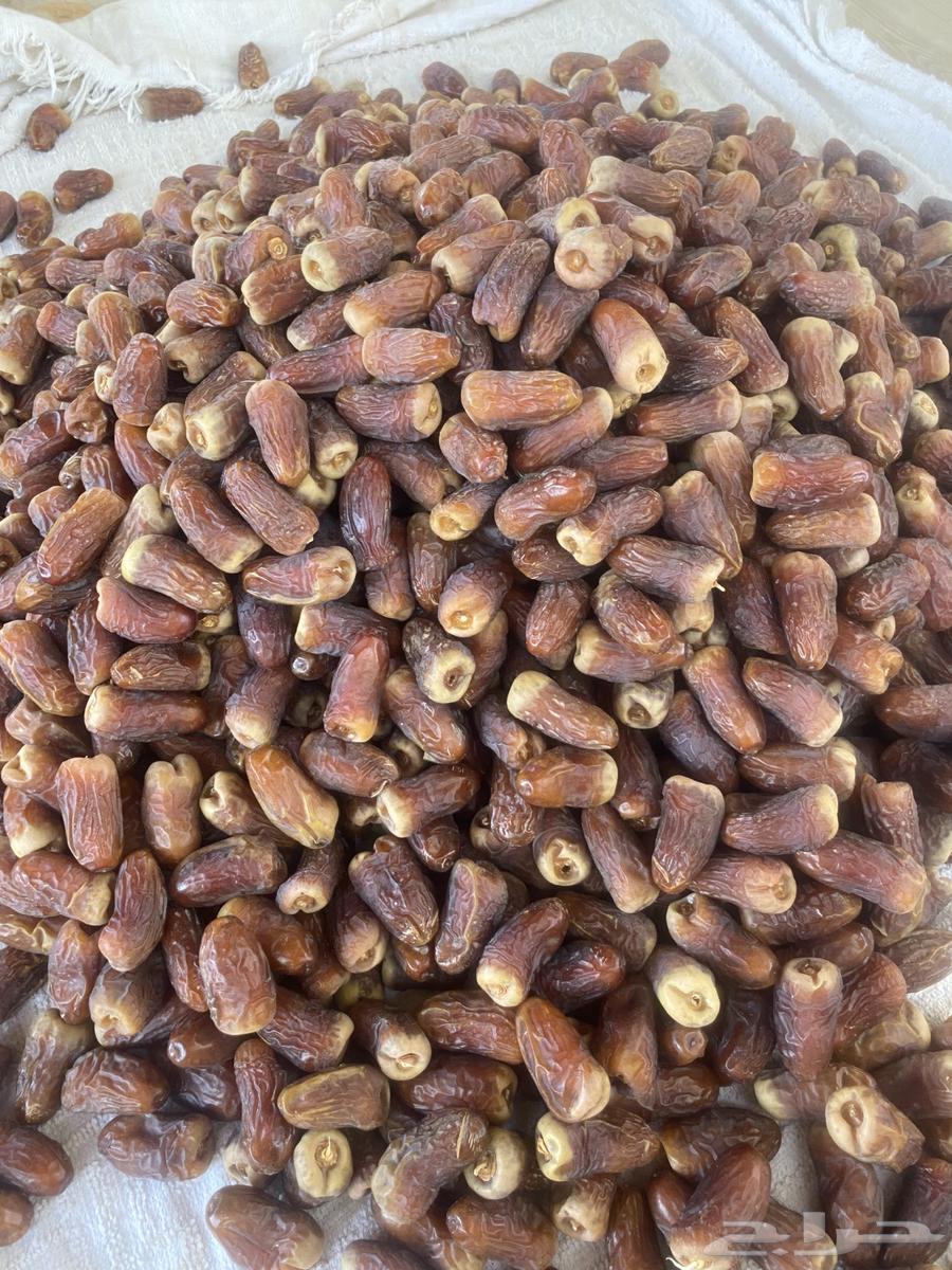 برني العيص64395545562498111