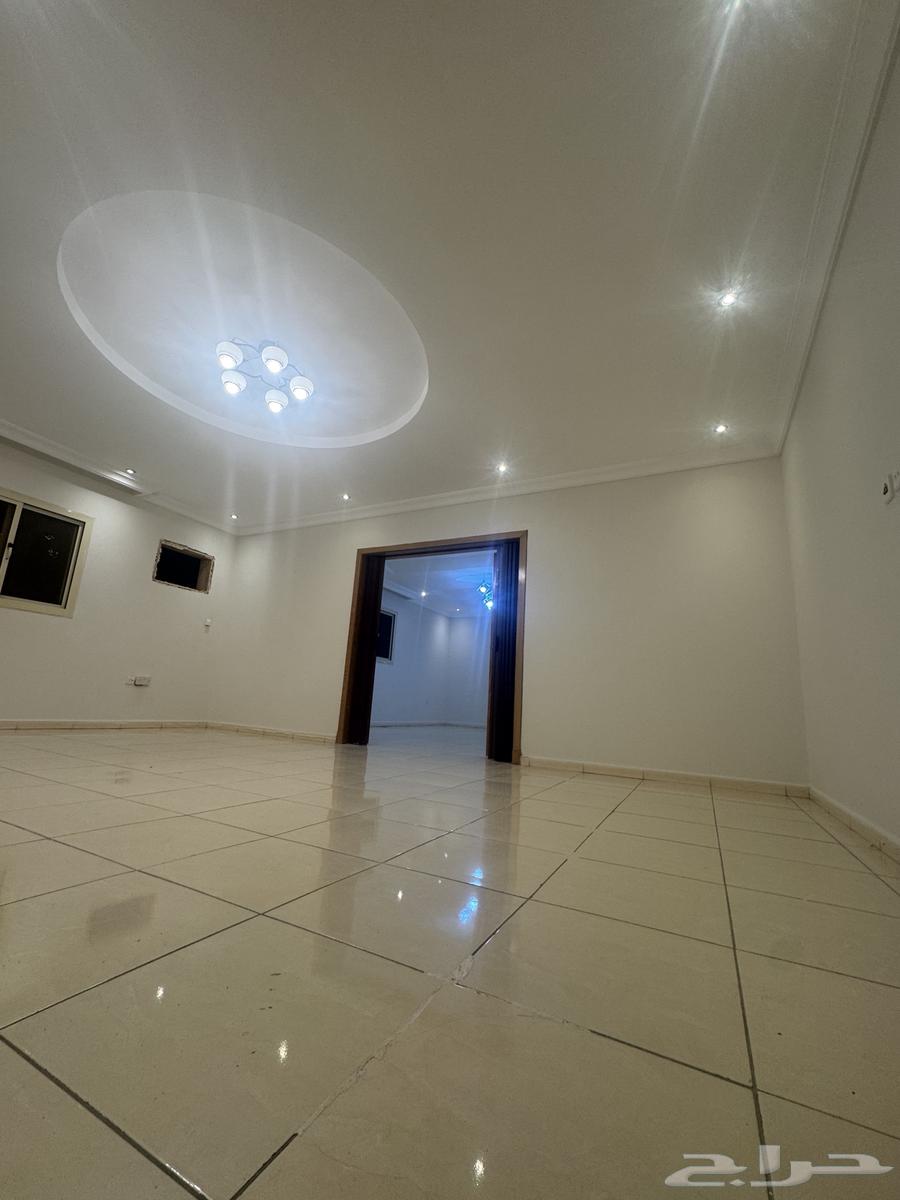 شقة للايجار63614095694979113