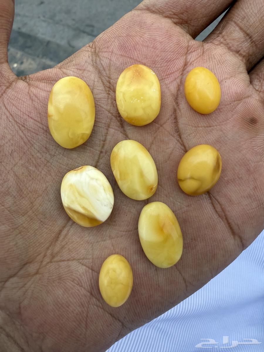 احجار كهرمان بولندي قديم64398395912963110