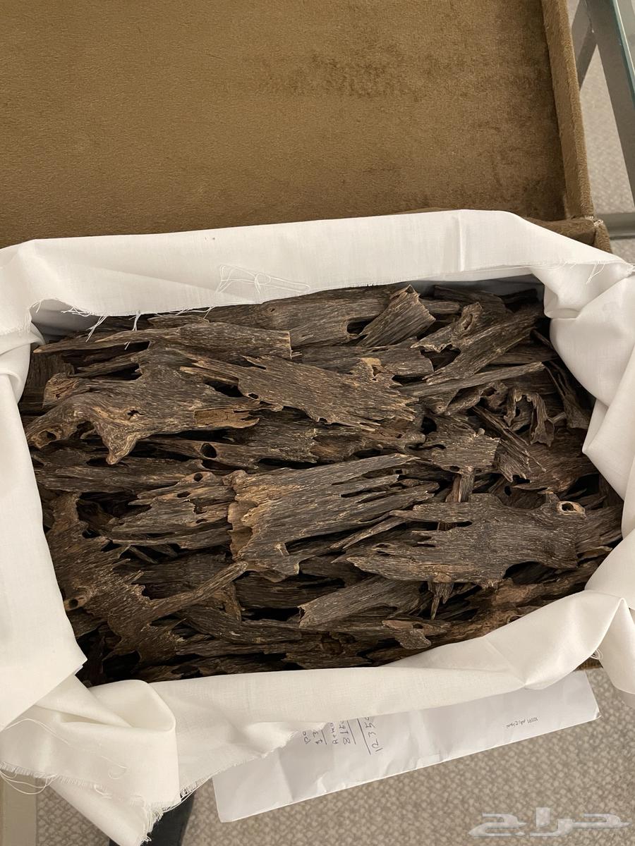 عود هندي سيوفي  درجة سوبر مرتفع64395117172611110