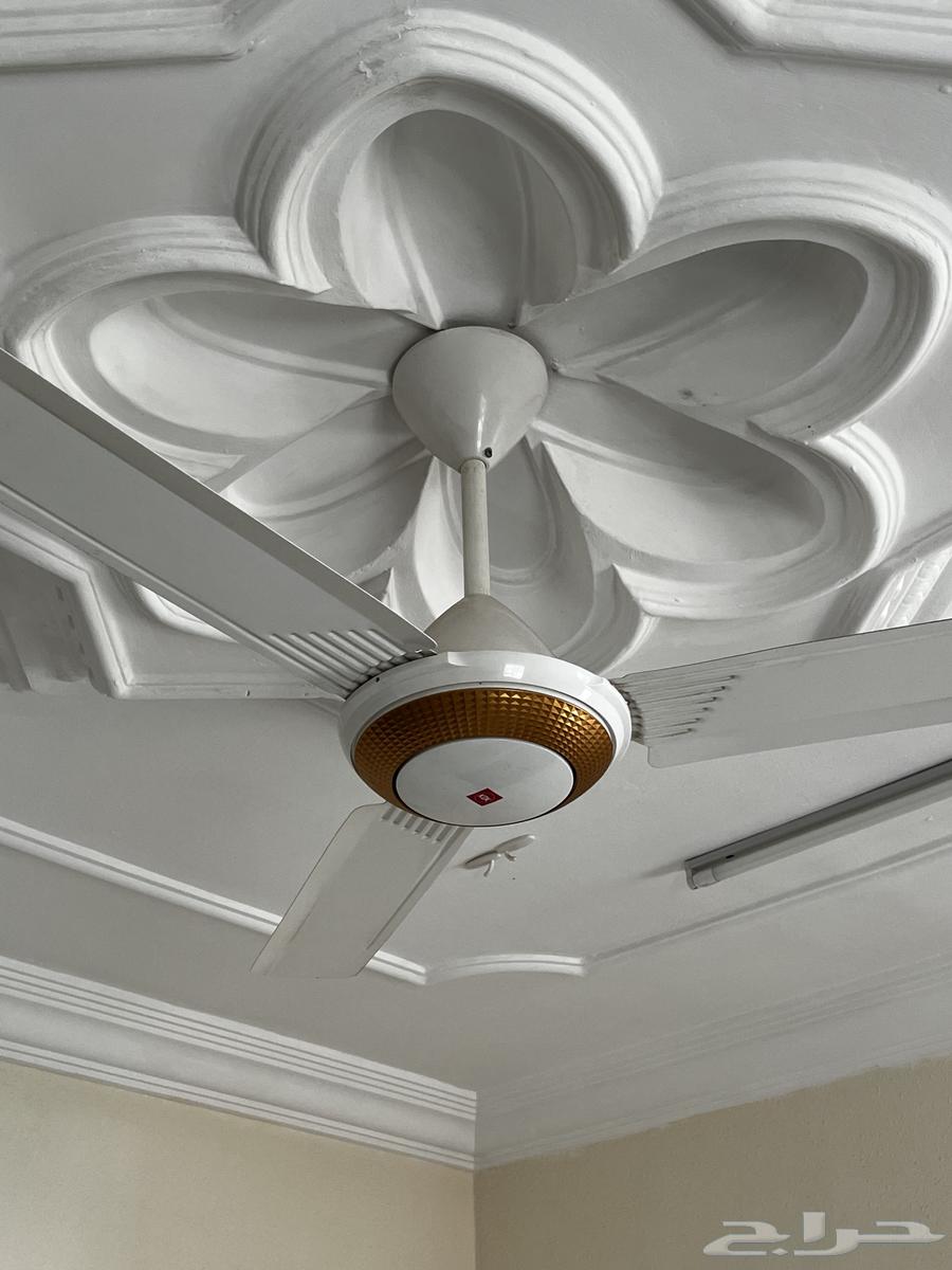 Ceiling Fans64399647928705111