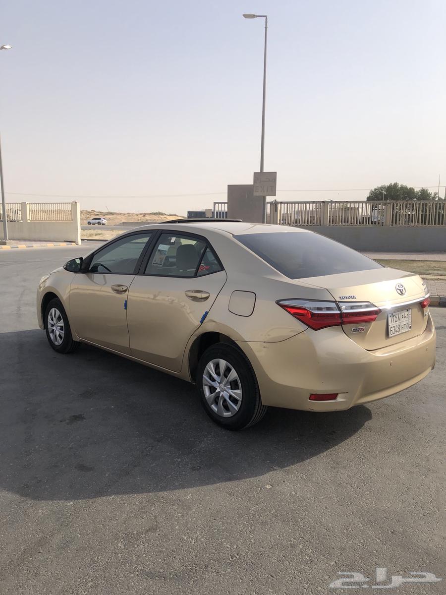 كورولا استخدام شخص واحد ( منوة المستخدم )64541850043267110