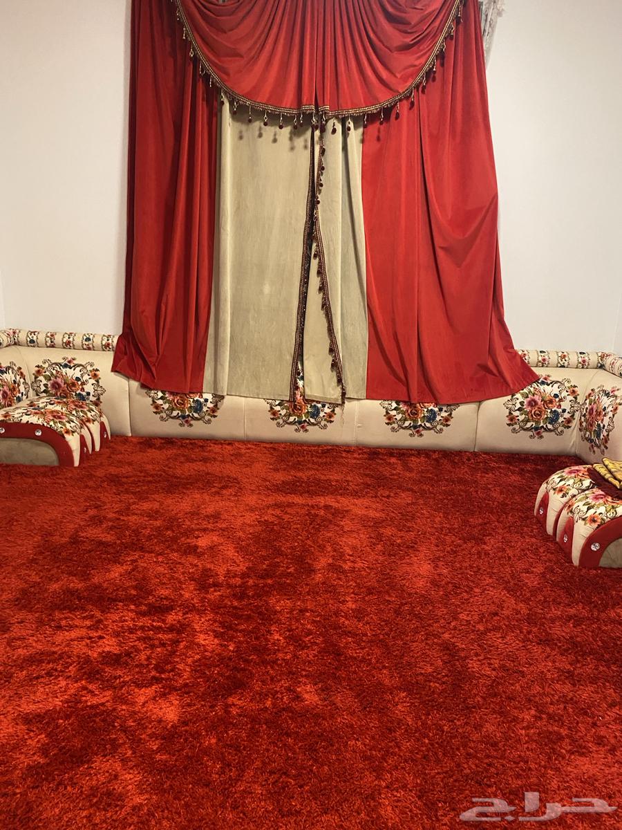 فرشه للبيع64392813681154110