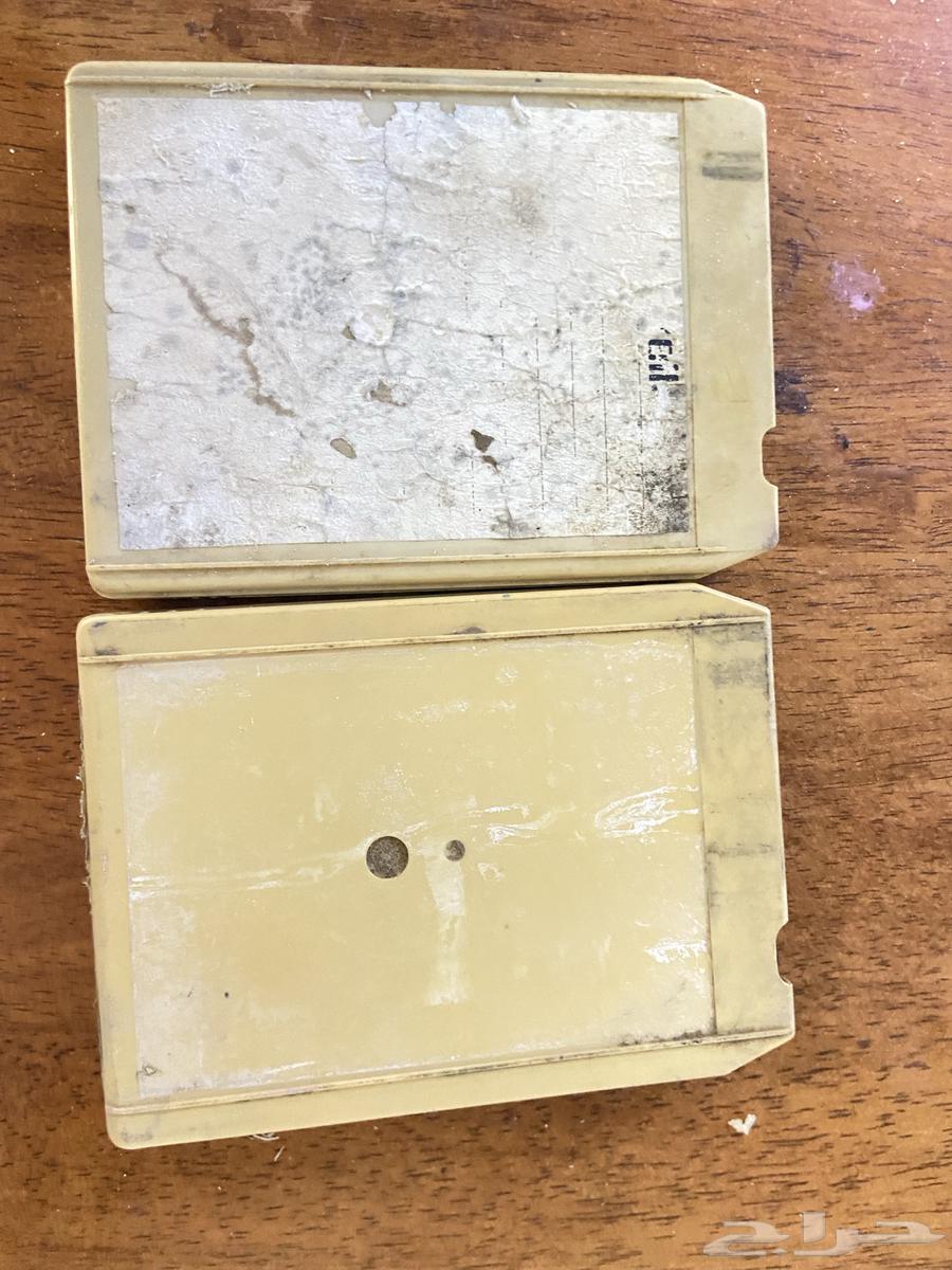 Caterpillar Track Number 264401188945411111