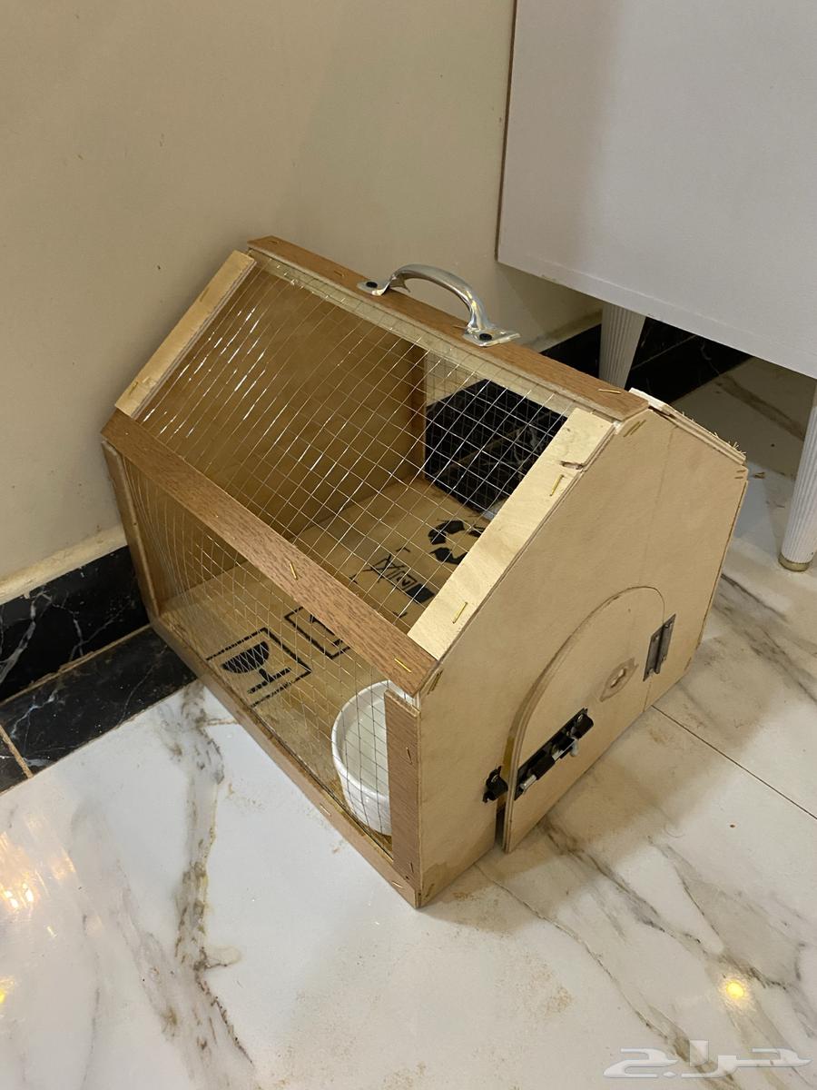 Hello and the mercy of God and His blessings, I present to you64394427444481111