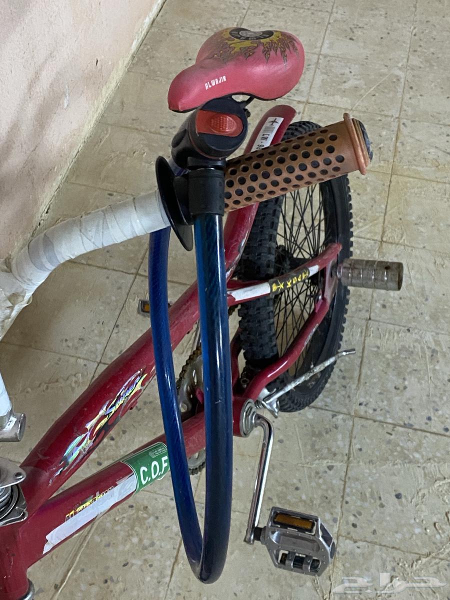 دراجه لعب64393915542019114