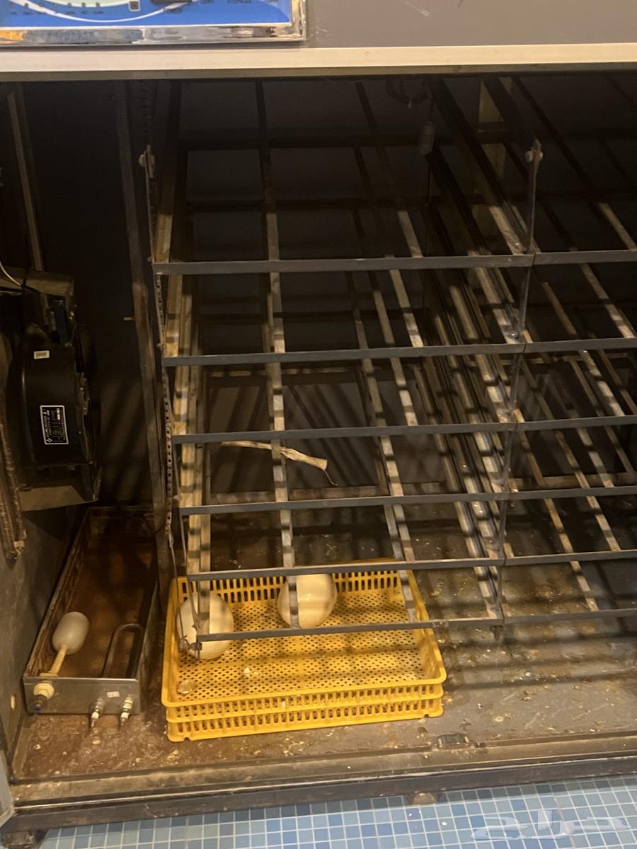 Incubator64398589339905113