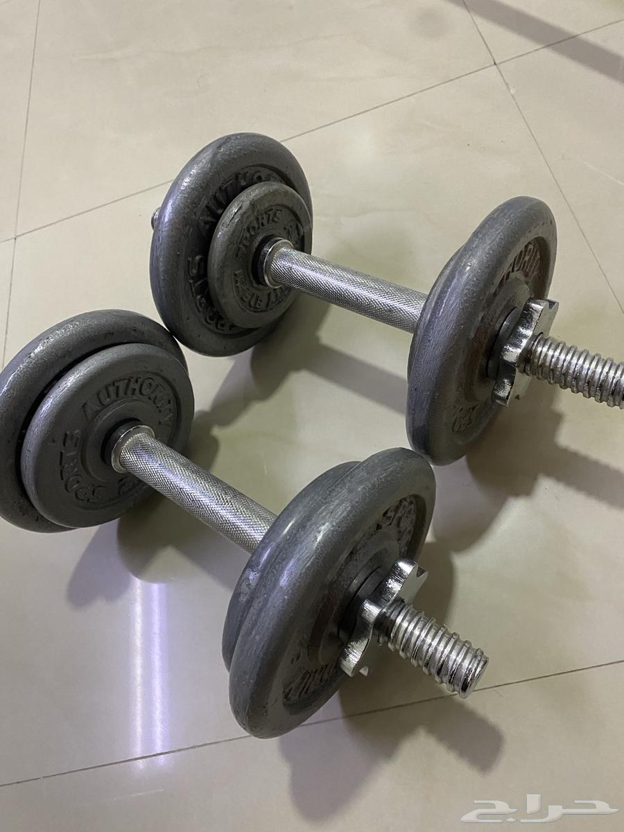 Clean weight bench with weights and personal use only64399814979330111