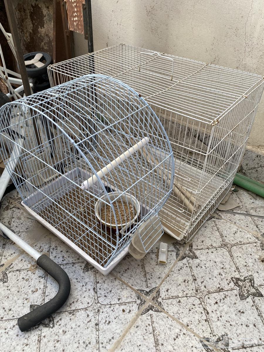 للبيع مكنسة وجلسة خارجية وقفص طيور وعربية64396006589059113