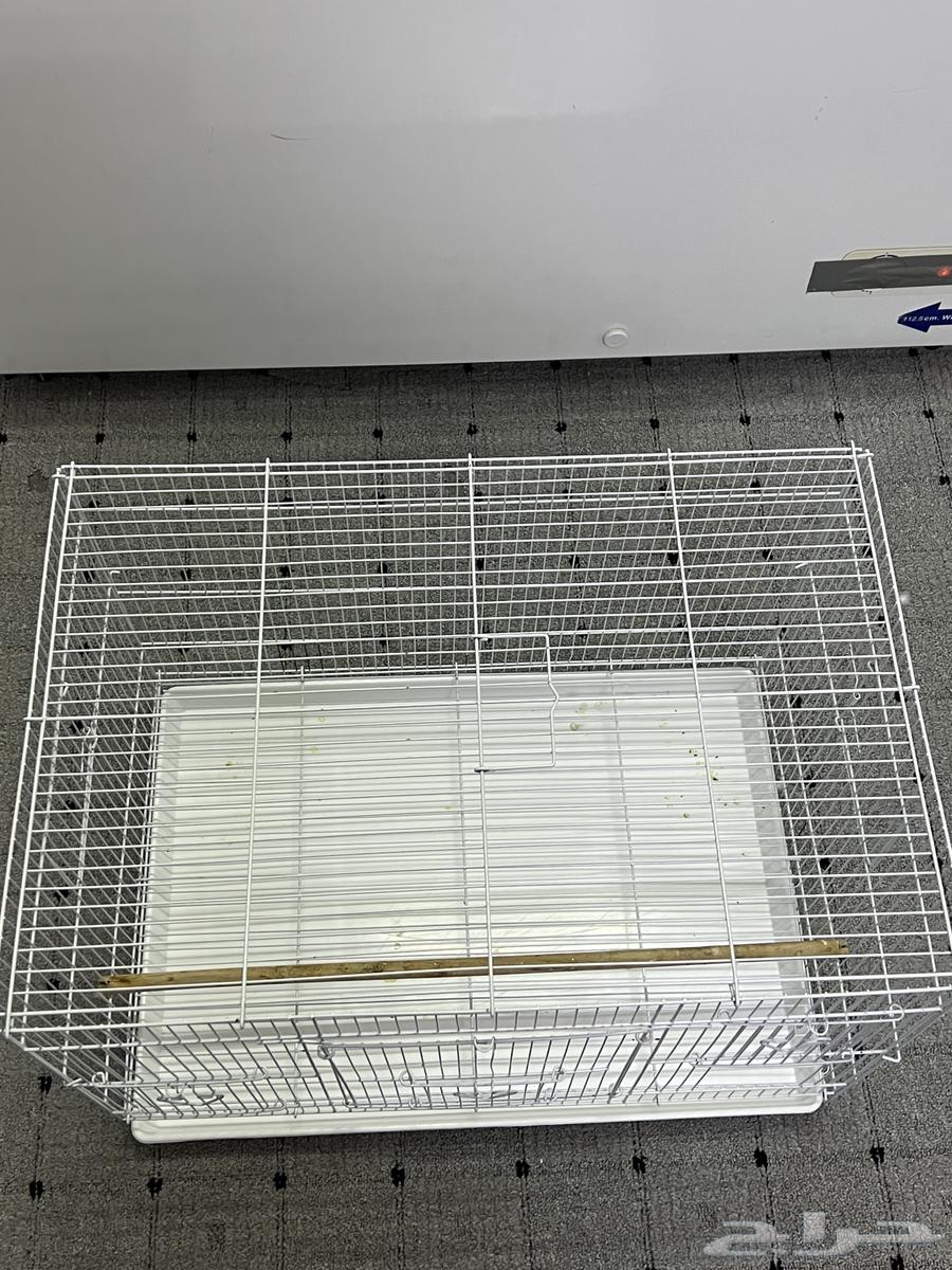 للبيع قفص عصافير64398214944513111