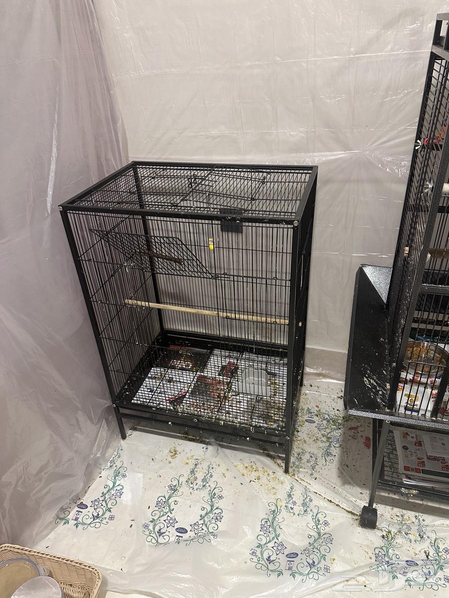 قفص طيور للبيع64400494217089111
