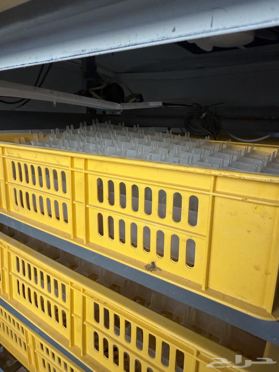 فقاسه بيض تماتيك للبيع جديد64397157921666111