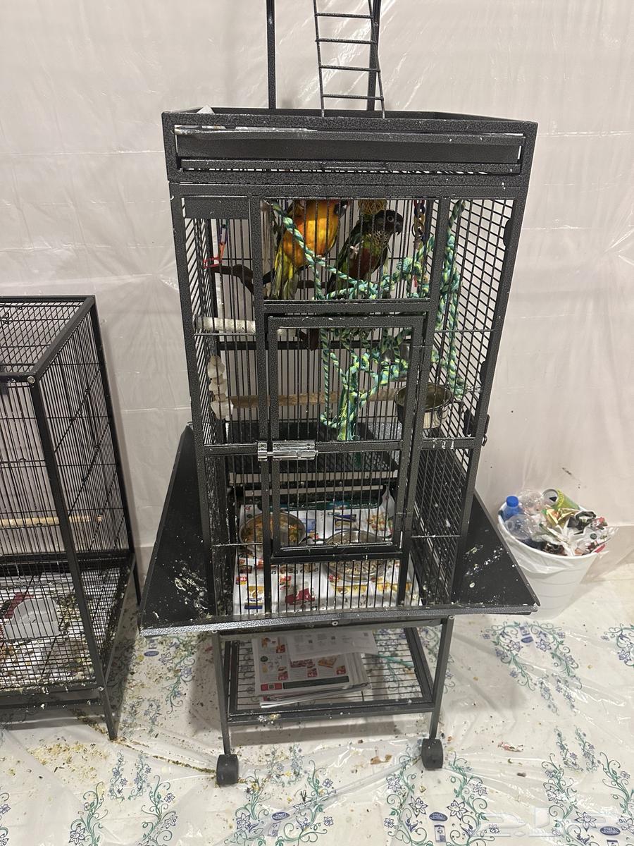 قفص طيور للبيع64400494217089110