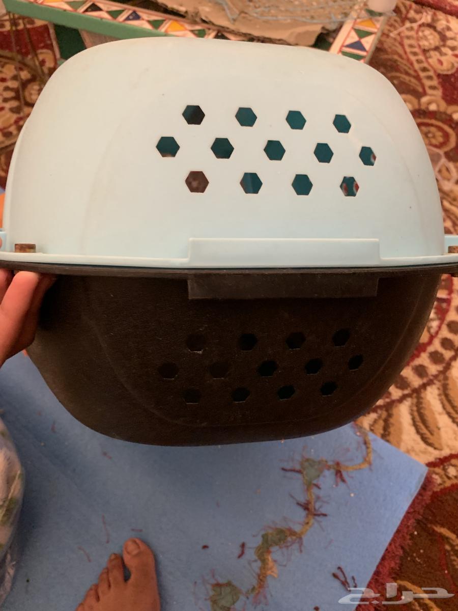 New cat litter, used only once, clean64398828029571113