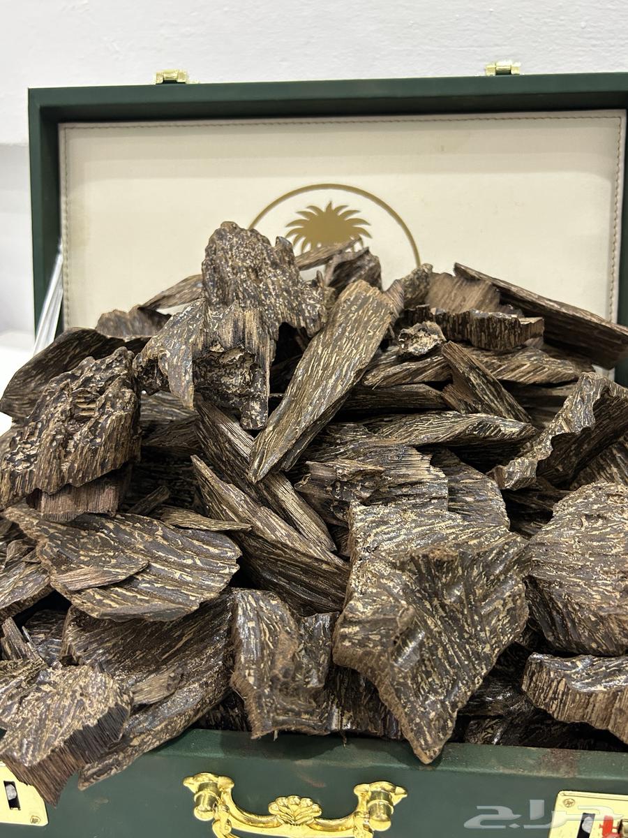 العود الأزرق الفاخر كيلو ب110064393252625922111