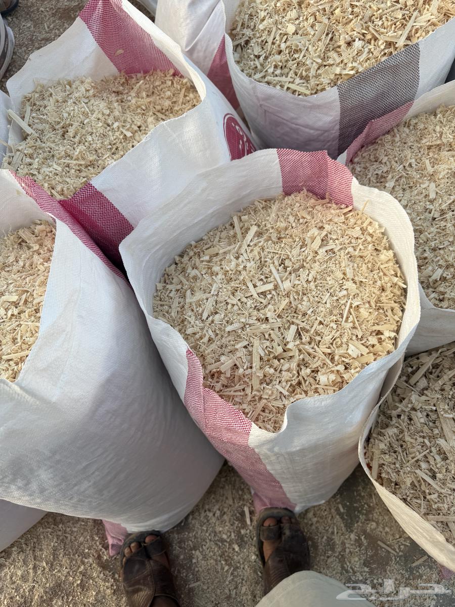 نشارة خشب64396686474115114