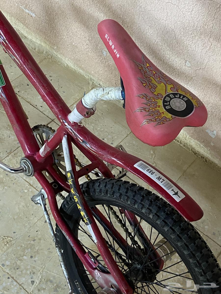 دراجه لعب64393915542019112