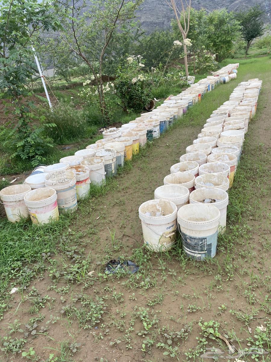 سطول دهانات للبيع64399244558849110