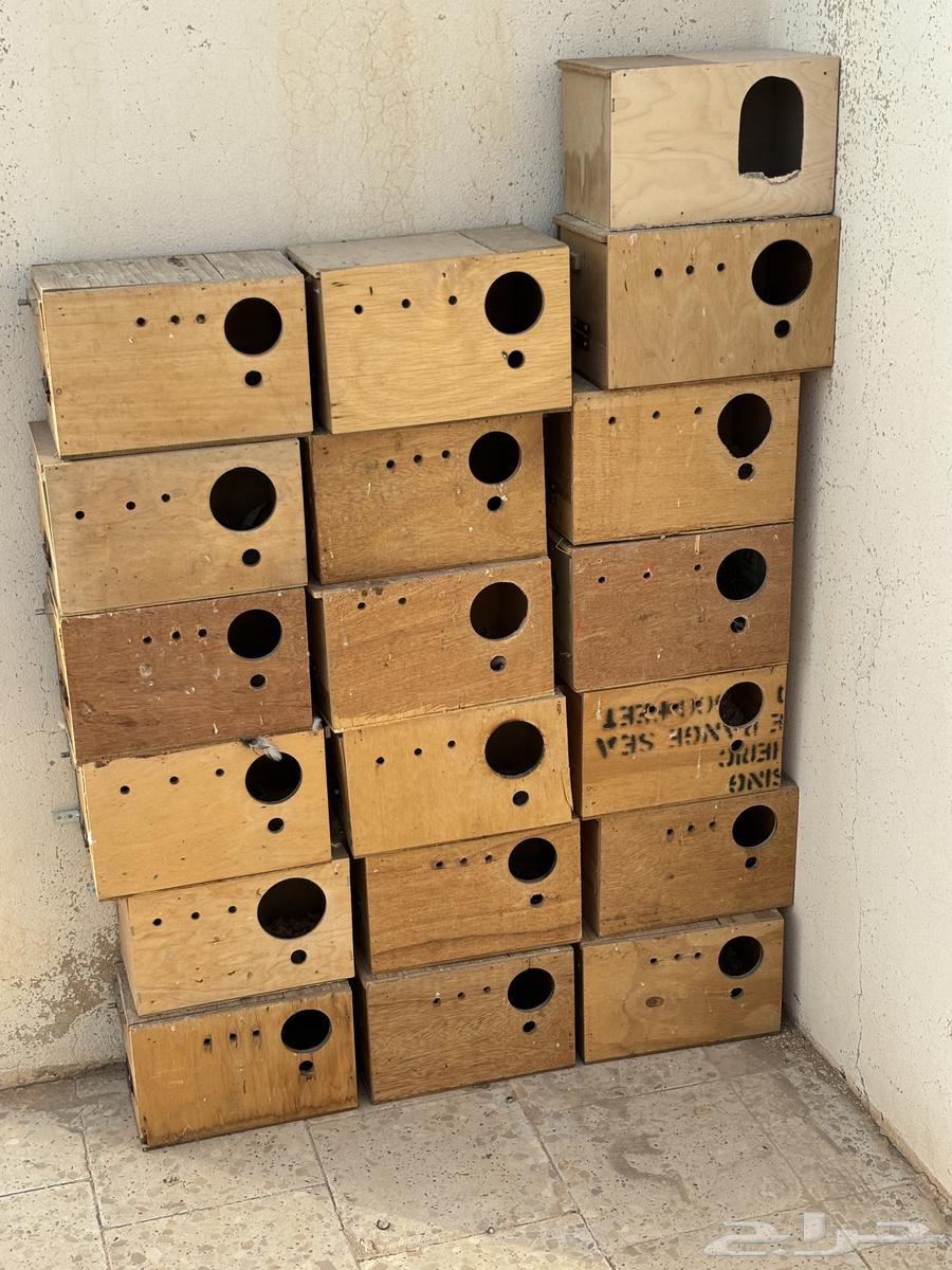 بياضات كروان وروز وبادجي64401035959427110