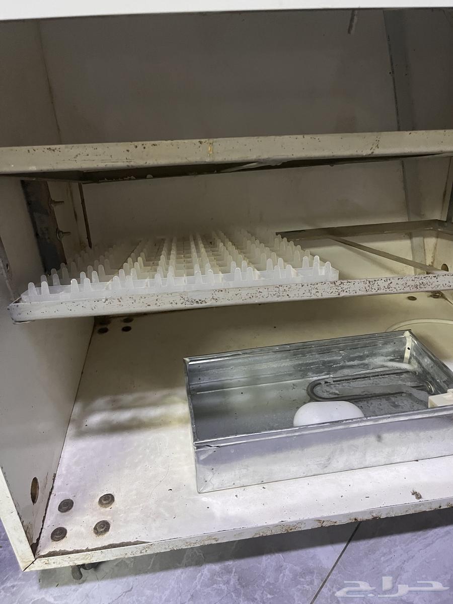 Automatic incubator64399410993793110