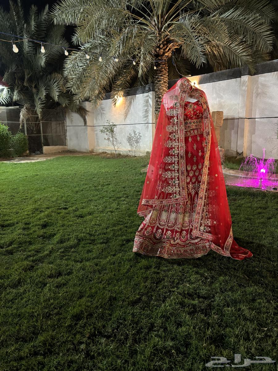 ساري هندي64398228857091113