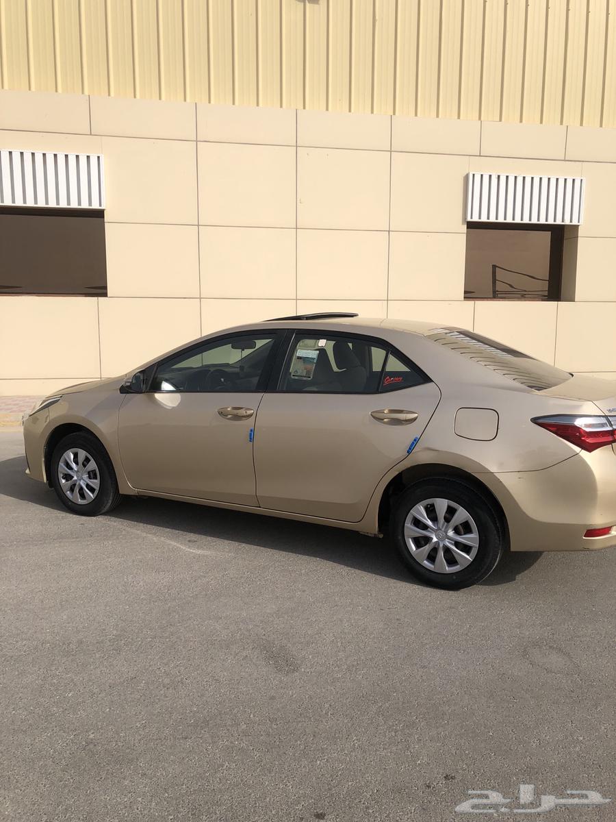 كورولا استخدام شخص واحد ( منوة المستخدم )64541850043267111