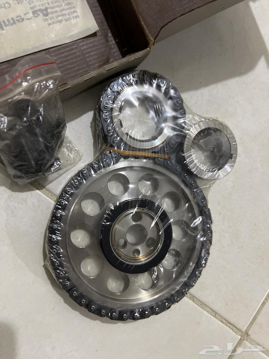 Double chain for shutter motors with gear and screws64539001785474110